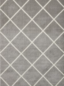 Elegant Rug